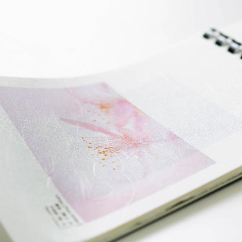 Awagami sample Book 3