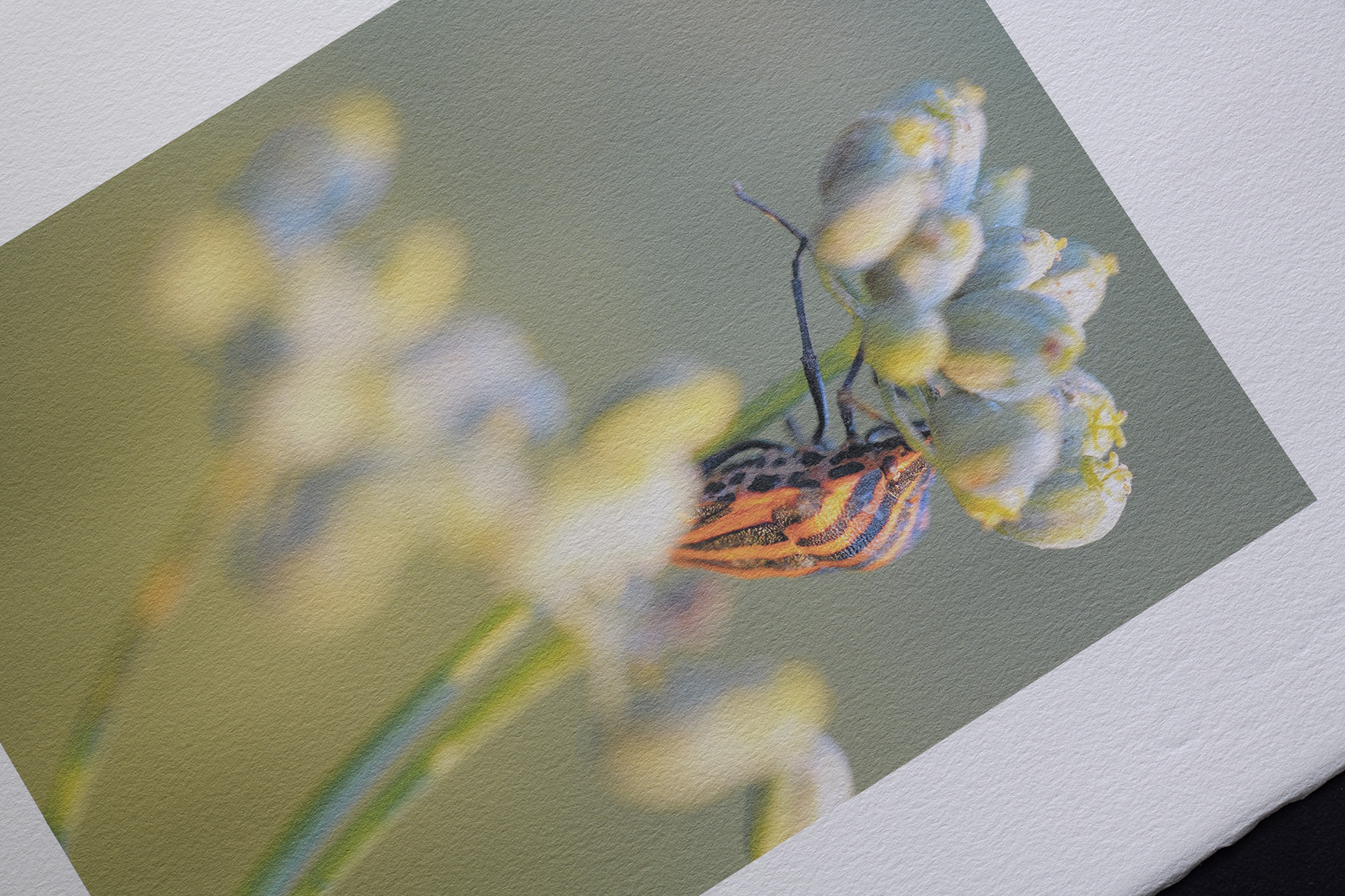 _cfd3099-arches-velin-johannot-240g-tirage-couleur-epson-ultrachrome