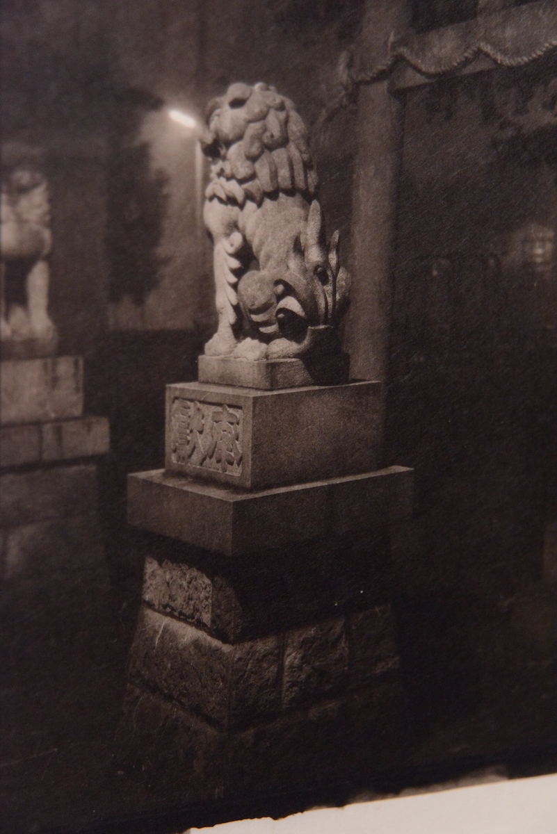 Tosa Pur Gampi